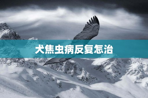 犬焦蟲病反復怎治