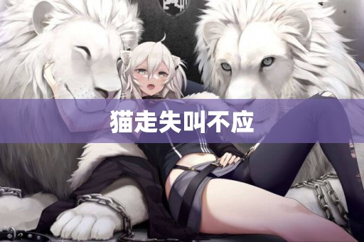 貓走失叫不應