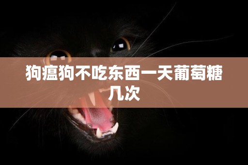 狗瘟狗不吃東西一天葡萄糖幾次