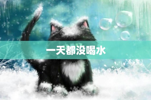 一天都沒喝水
