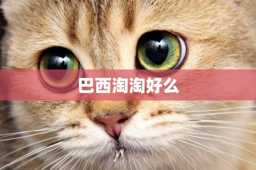 巴西淘淘好么
