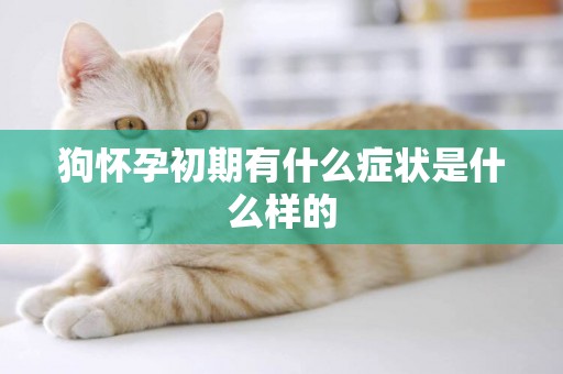 狗懷孕初期有什么癥狀是什么樣的