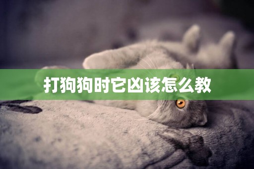 打狗狗時它兇該怎么教