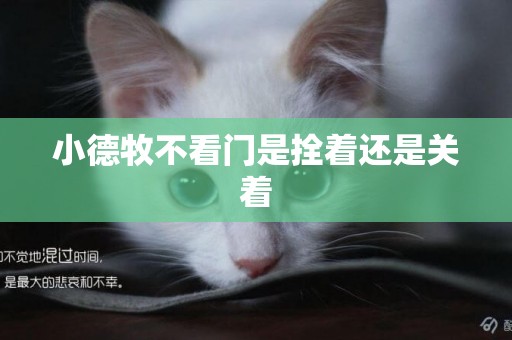 小德牧不看門是拴著還是關著