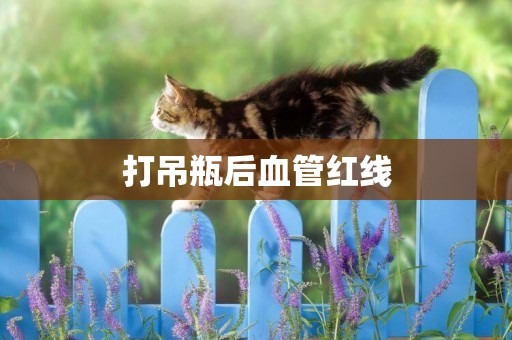 打吊瓶后血管紅線