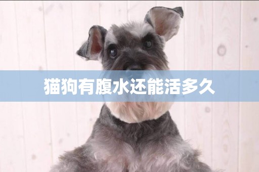 貓狗有腹水還能活多久