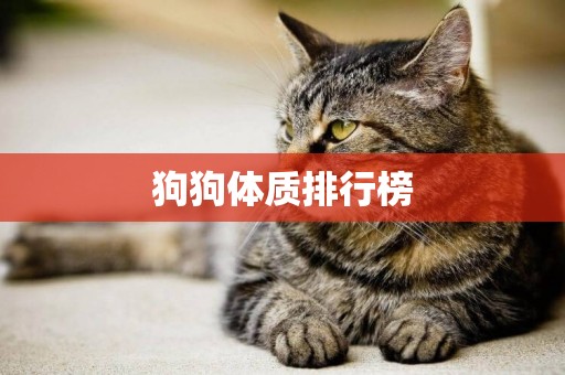 狗狗體質排行榜