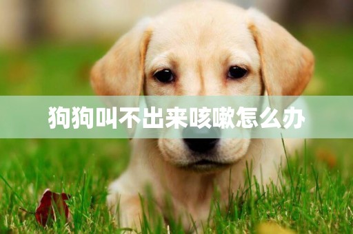 狗狗叫不出來咳嗽怎么辦