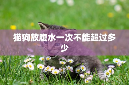 貓狗放腹水一次不能超過多少