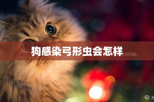 狗感染弓形蟲會怎樣