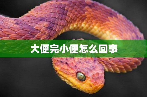 大便完小便怎么回事