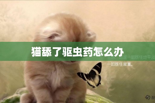 貓舔了驅蟲藥怎么辦