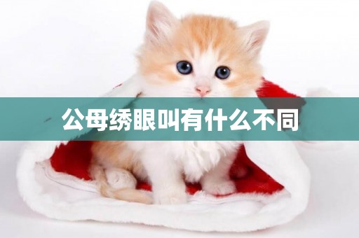 公母繡眼叫有什么不同