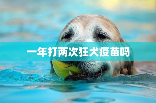 一年打兩次狂犬疫苗嗎