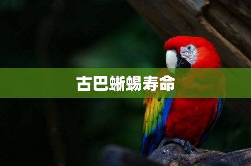 古巴蜥蜴壽命