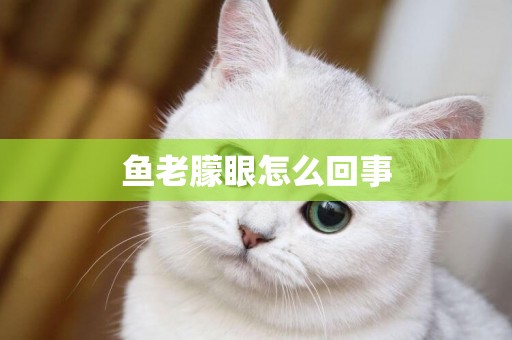 魚老朦眼怎么回事