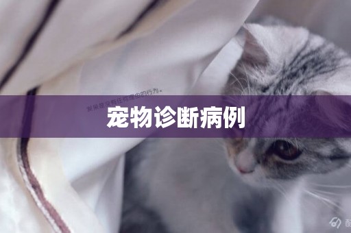 寵物診斷病例