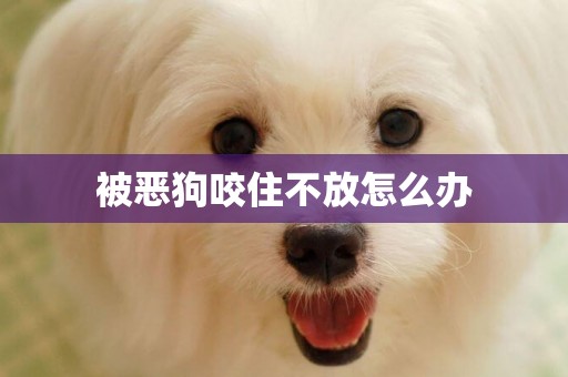 被惡狗咬住不放怎么辦
