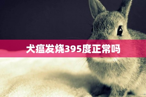 犬瘟發燒395度正常嗎