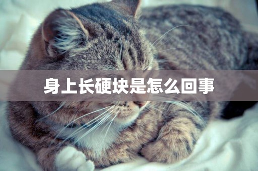 身上長硬塊是怎么回事