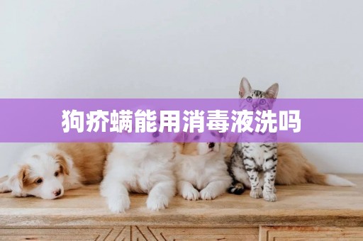 狗疥螨能用消毒液洗嗎