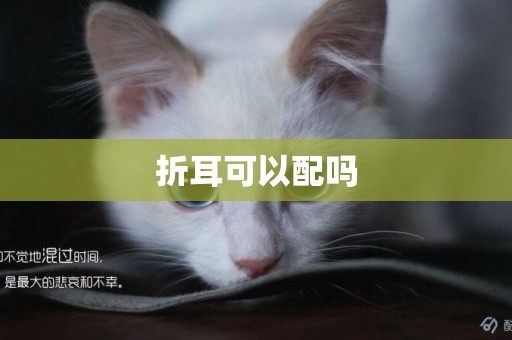折耳可以配嗎