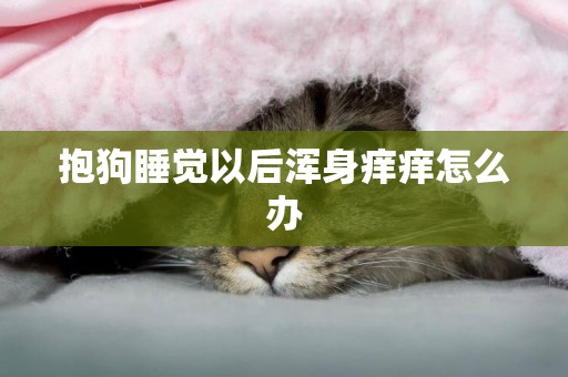 抱狗睡覺以后渾身癢癢怎么辦