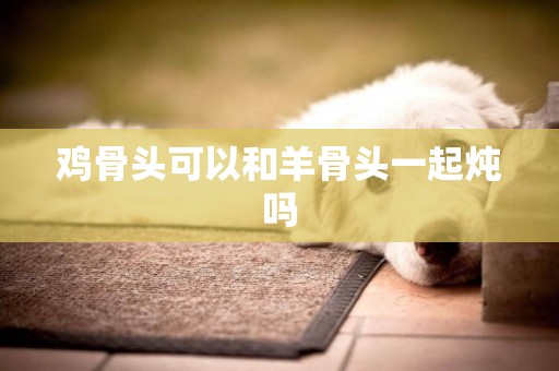 雞骨頭可以和羊骨頭一起燉嗎