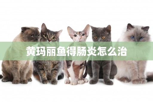 黃瑪麗魚得腸炎怎么治