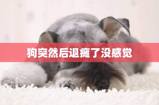 狗突然后退癱了沒感覺