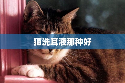 貓洗耳液那種好