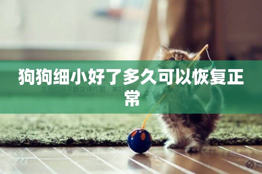 狗狗細小好了多久可以恢復正常
