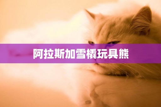 阿拉斯加雪橇玩具熊