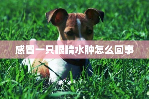感冒一只眼睛水腫怎么回事
