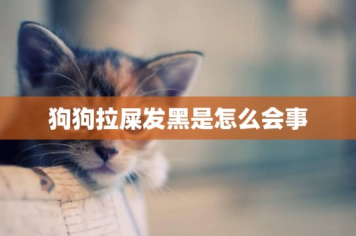 狗狗拉屎發黑是怎么會事