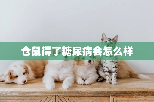 倉鼠得了糖尿病會怎么樣