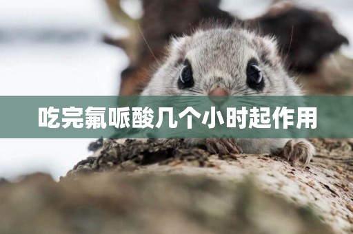 吃完氟哌酸幾個小時起作用