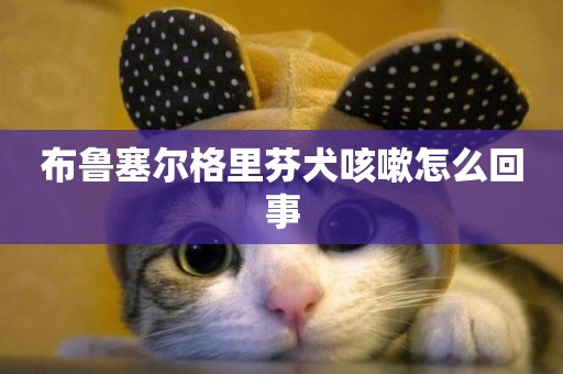 布魯塞爾格里芬犬咳嗽怎么回事