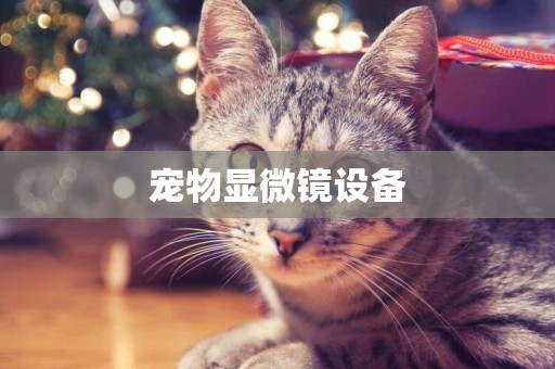 寵物顯微鏡設備