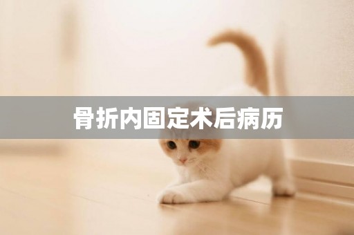 骨折內固定術后病歷
