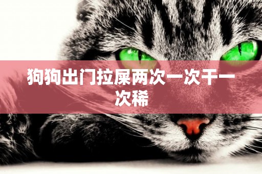 狗狗出門拉屎兩次一次干一次稀