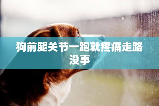 狗前腿關節一跑就疼痛走路沒事