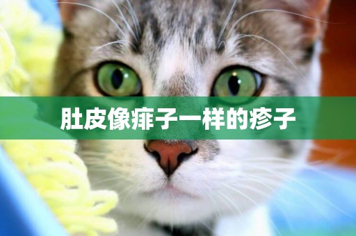 肚皮像痱子一樣的疹子