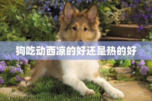 狗吃動西涼的好還是熱的好