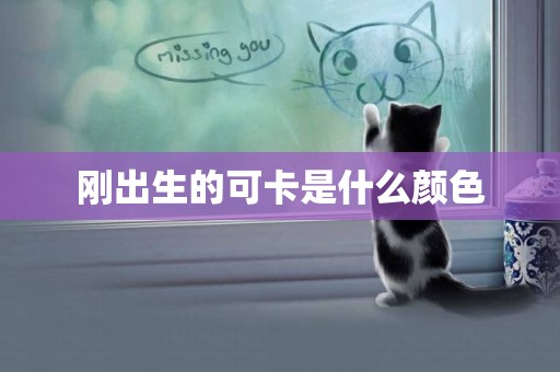 剛出生的可卡是什么顏色