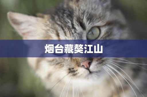 煙臺藏獒江山