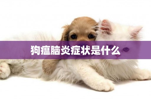 狗瘟腦炎癥狀是什么
