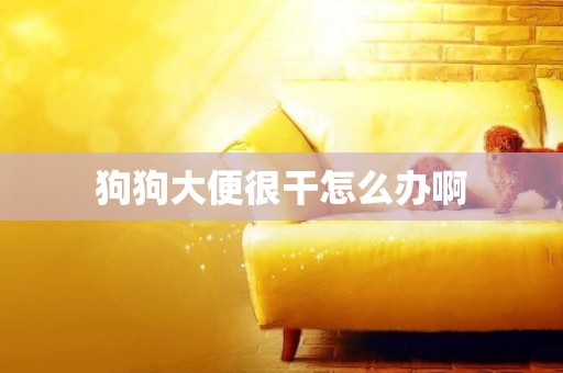 狗狗大便很干怎么辦啊
