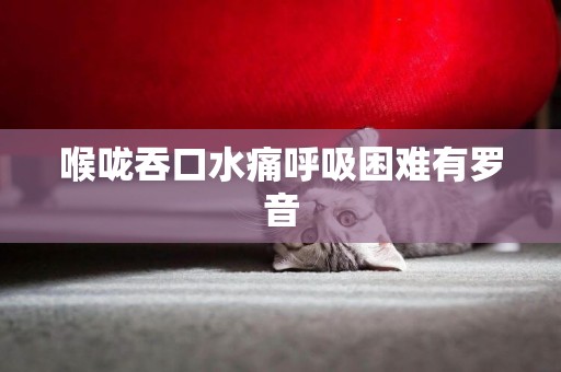 喉嚨吞口水痛呼吸困難有羅音