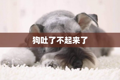 狗吐了不起來了